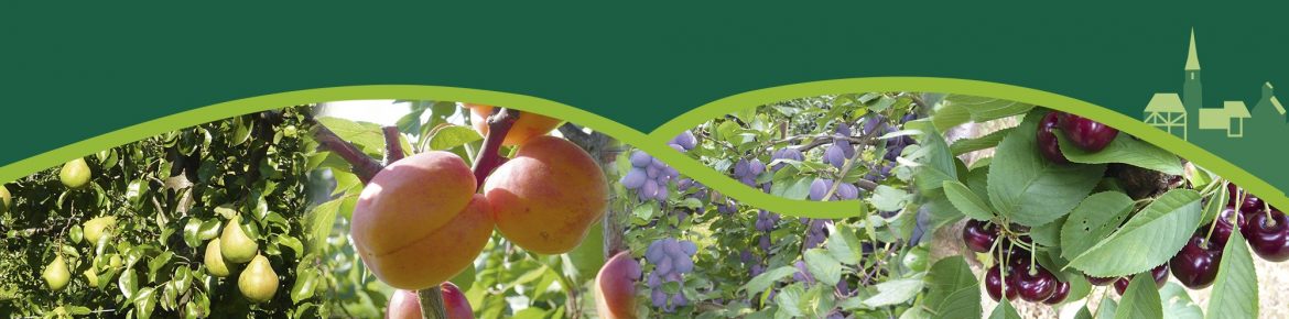 SliderSchmal_Fruechte.jpg