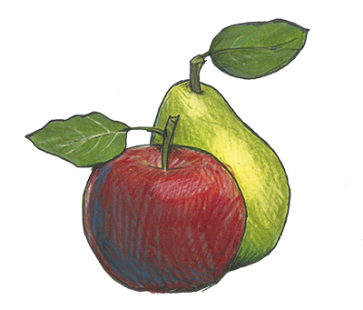 apfel-birne_400.png